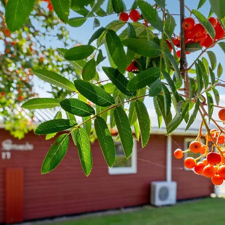 Haderslev 2 * 哈泽斯莱乌